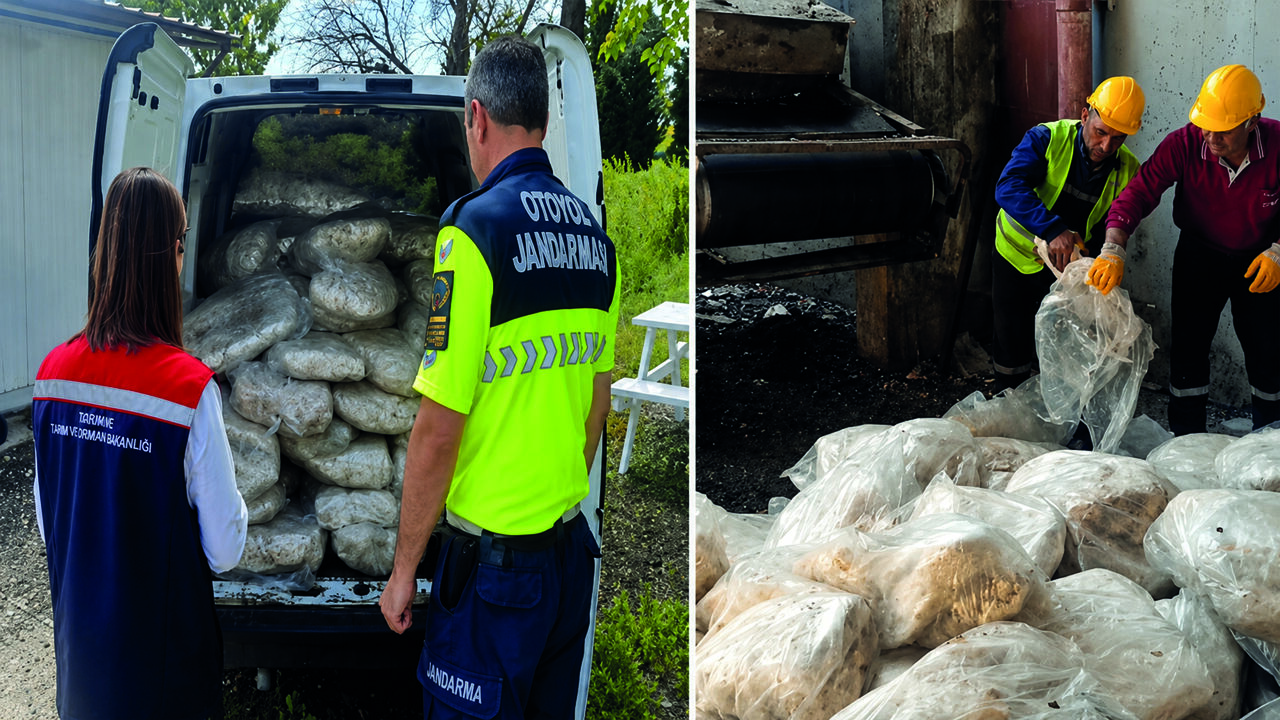 Tekirdağ’da 1,2 Ton Sakatat İmha Edildi