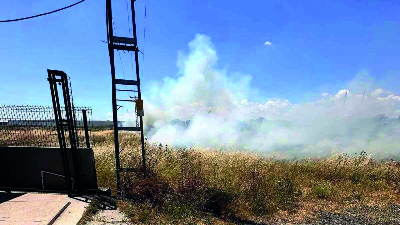 Kapaklı’da İlginç Yangın: Elektrik Tellerine Çarpan Kuş Otluk Alanı Ateşe Verdi