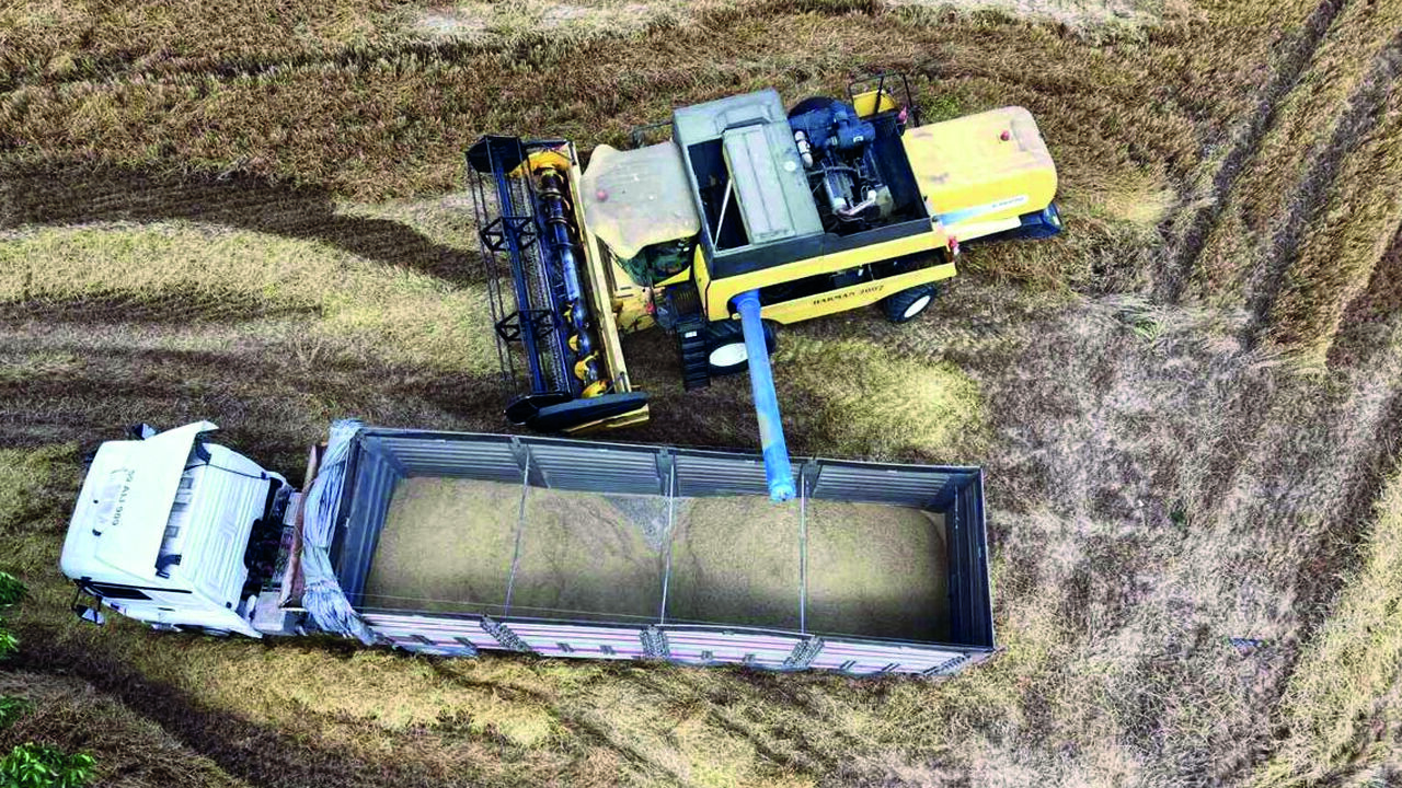 Tekirdağ’da Hasat Sezonu Başladı: Arpada Rekolte Yüz Güldürüyor