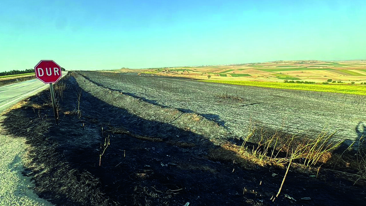 Tekirdağ'da Yangında 350 Dönüm Buğday Ekili Alan Zarar Gördü