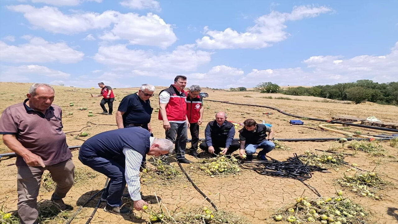 TARSİM Genel Müdürü Engürülü, Tekirdağ'da Doludan Zarar Gören Tarım Alanlarını İnceledi