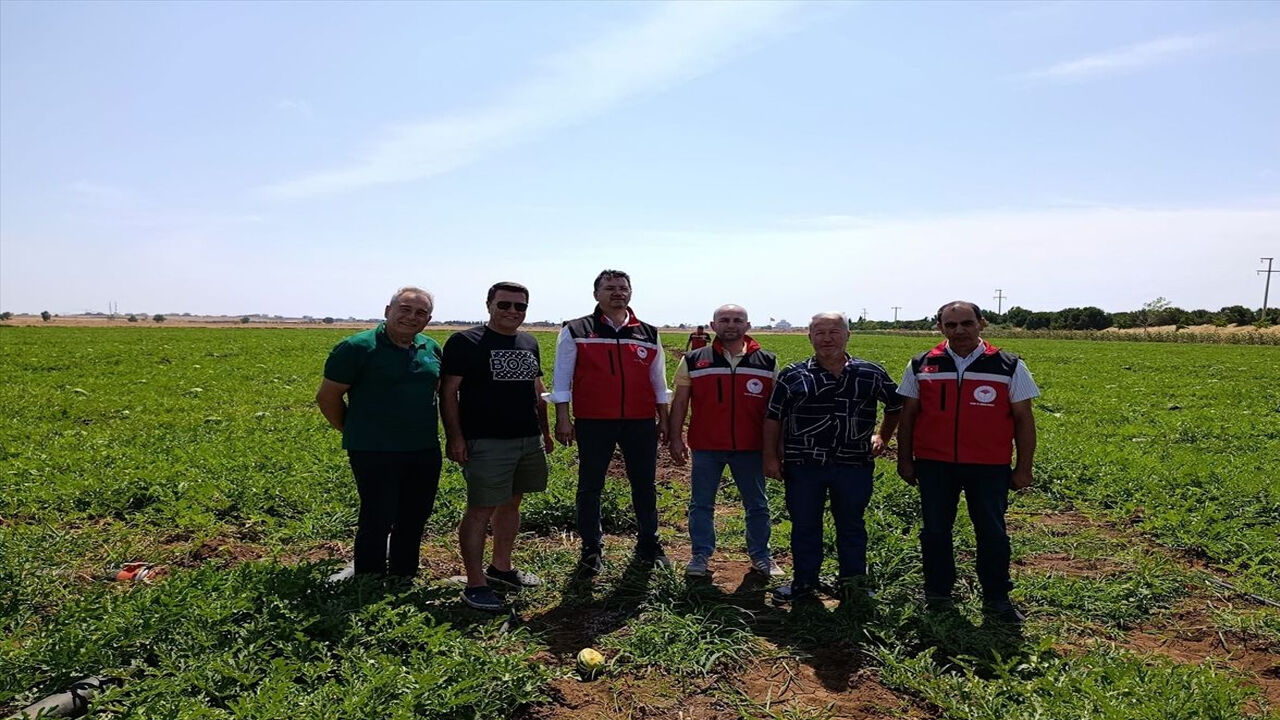 Tekirdağ'da Karpuz Üretim Alanları Yerinde İncelendi