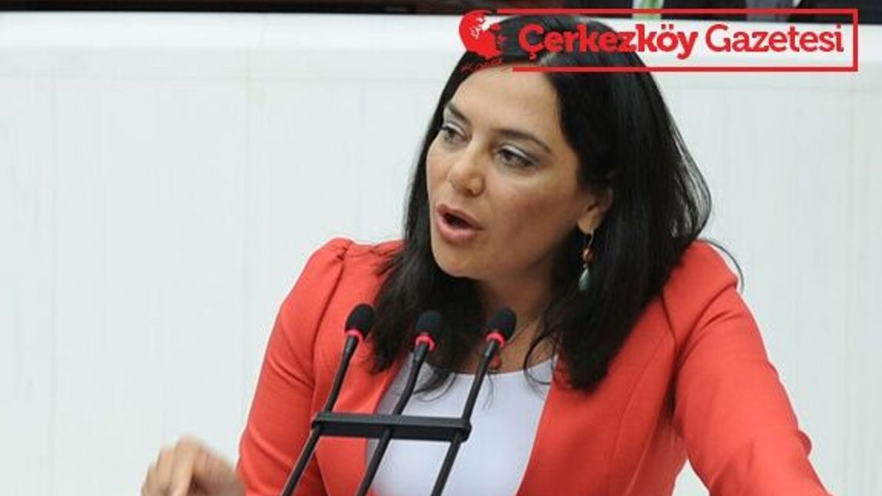 Yüceer’e DSİ’den ‘Tekirdağ ihmal edilmiyor’ cevabı