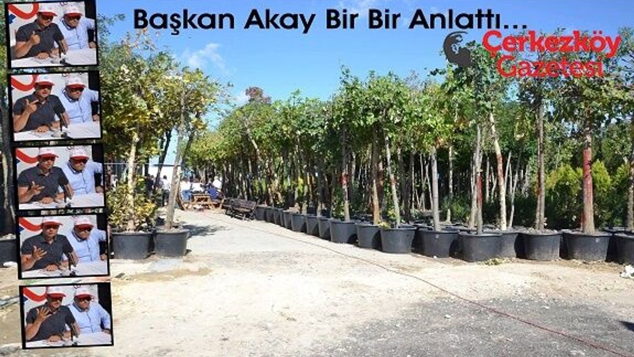 Başkan Akay, Öğe’ye bir bir anlattı