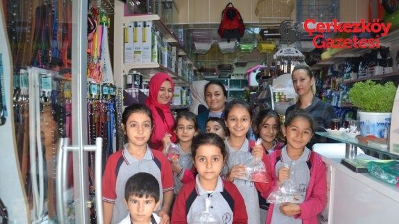 Hayvanları Koruma Günü’nde anlamlı kampanya