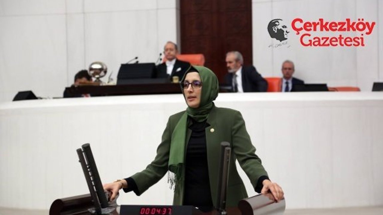 Ayşe Doğan'ın 10 Kasım mesajı