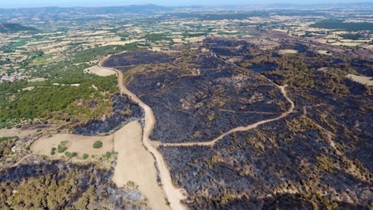 ÇOSB Çanakkale’de yanan ormanlık alanı yeniden ağaçlandıracak