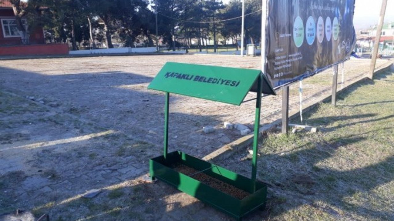 Kapaklı’da Sokak Hayvanları İçin Beslenme Üniteleri Konuluyor