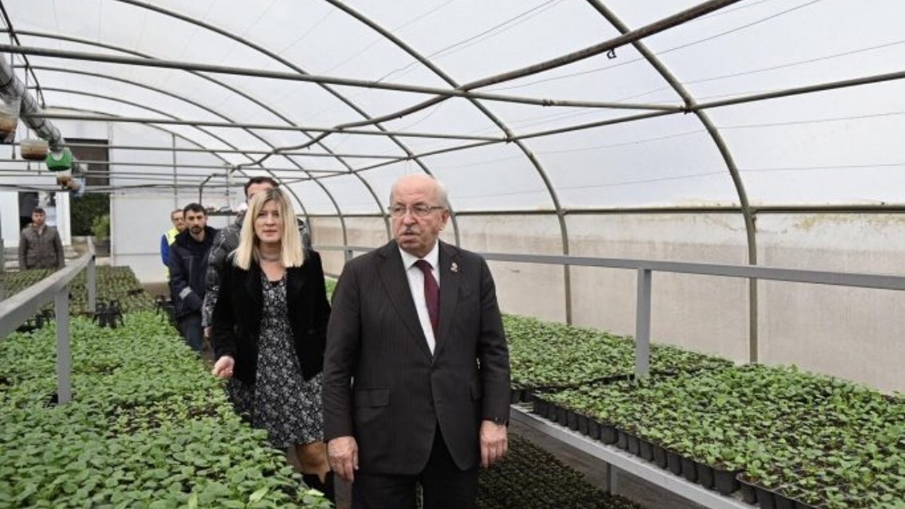 ALBAYRAK, ÇİÇEK ÜRETİMİNİN YAPILDIĞI SERALARDA İNCELEMELERDE BULUNDU