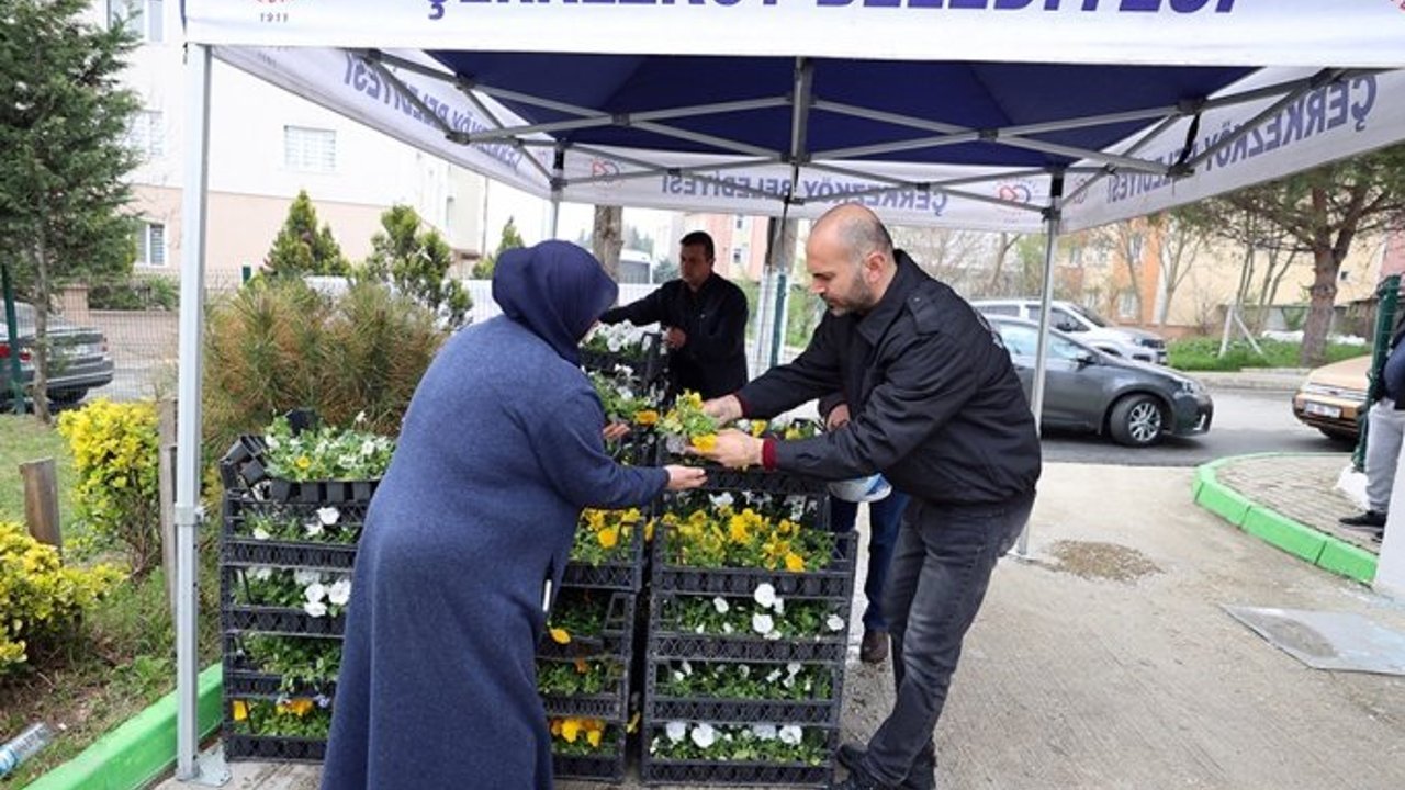KABİR ZİYARETİNE GELEN VATANDAŞLARA ÇİÇEK DAĞITIMI YAPILDI