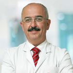 Prof. Dr. Davut Özdemir’den Batı Nil Virüsü Hakkında Önemli Açıklamalar