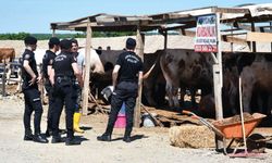 Çerkezköy’de Kurban Alanında Kavga: 5 Yaralı