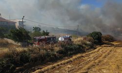 Süleymanpaşa’da Korkutan Tarla Yangını: 300 Dönüm Alan Zarar Gördü