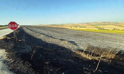 Tekirdağ'da Yangında 350 Dönüm Buğday Ekili Alan Zarar Gördü