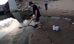 Dev Turna Balığı Son Anda Kaçtı