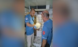 Edirne'de Günün Gelişmeleri: Denetim, Eğitim ve Ziyaretler