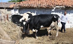 Eski Hükümlü Devlet Desteğiyle Hayvancılığa Başladı