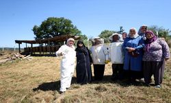 Kırklareli'nde Köy Kadınları Arıcılıkla Üretime Katılıyor