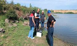 Korucu Köyü Göletindeki Balık Ölümleri İnceleniyor