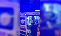 Semt Pazarı Yolunda Kaza: İki Kardeş Yaralandı