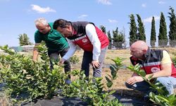 Sıfır Atık Uygulayan Gıda İşletmesine İnceleme