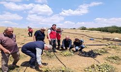 TARSİM Genel Müdürü Engürülü, Tekirdağ'da Doludan Zarar Gören Tarım Alanlarını İnceledi