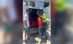 Tekirdağ'da 700 Kilogram Kaçak Midye Ele Geçirildi