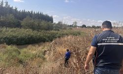 Tekirdağ'da Çevre Denetimlerinde 22 İşletmeye 14 Milyon Liranın Üzerinde Ceza