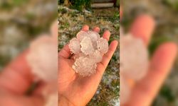 Tekirdağ'da Dolu Ayçiçeği ve Karpuz Tarlalarını Vurdu