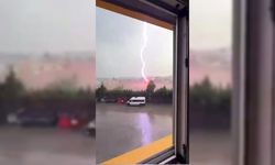 Tekirdağ'da Palmiye Ağacına Yıldırım Düştü, Alev Alev Yandı