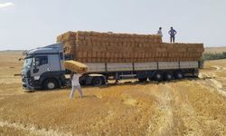 Tekirdağlı Çiftçiden Yangın Bölgesine 1200 Balya Saman