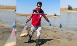 Hayrabolu’da Gölette Toplu Balık Ölümleri: İnceleme Başlatıldı