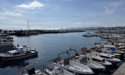 Fırtına sonrası Tekirdağ’da palamut bolluğu