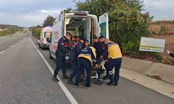 Malkara’da balık yüklü kamyonet menfeze çarptı: 2 yaralı