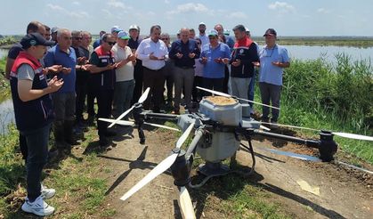 Edirne’de Dronla Çeltik Ekimi Yapıldı