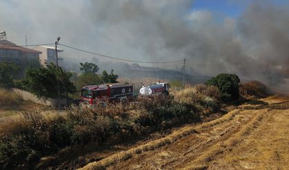 Süleymanpaşa’da Korkutan Tarla Yangını: 300 Dönüm Alan Zarar Gördü