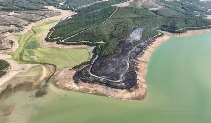 Tekirdağ'ın Malkara ilçesinde çıkan orman yangınında yaklaşık 80 dekar ormanlık alan zarar gördü.