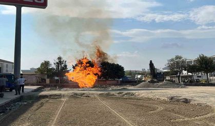 Çorlu’da kazı sırasında hasar gören doğal gaz borusunda yangın çıktı. Alevler çevredeki ağaçlara sıçradı.