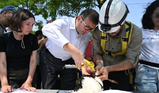TREDAŞ,hayvan dostu projelerine devam ediyor
