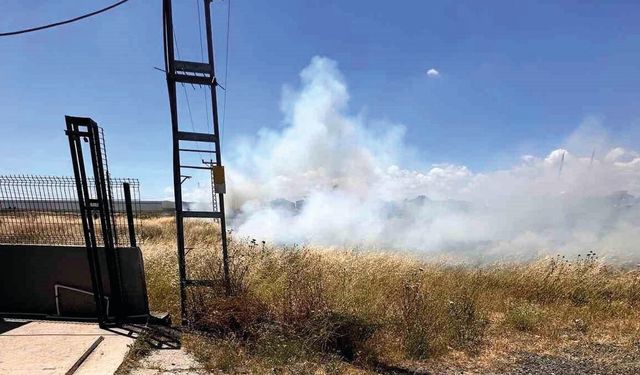 Kapaklı’da İlginç Yangın: Elektrik Tellerine Çarpan Kuş Otluk Alanı Ateşe Verdi