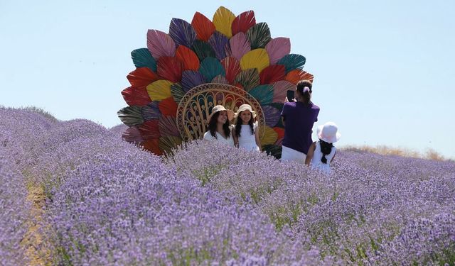 Tekirdağ'ın Mor Hazinesi Turist Akınına Uğruyor