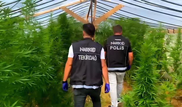 Bağ Evine Narkotik Operasyonu: 109 Kök Hint Keneviri Ele Geçirildi
