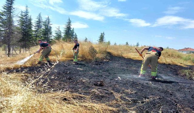 Edirne'de Alevlerin Arasında Kalan Kaplumbağa Kurtarıldı