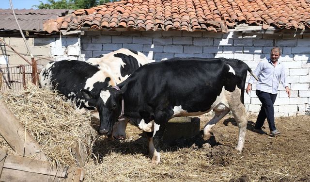 Eski Hükümlü Devlet Desteğiyle Hayvancılığa Başladı