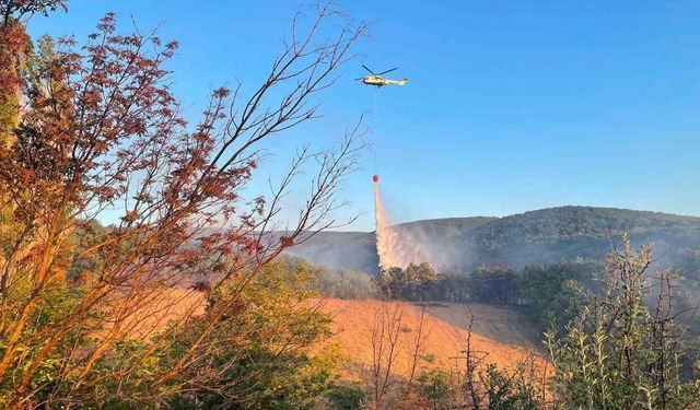 Malkara'da Anız Yangını Ormana Sıçradı
