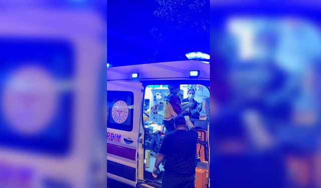 Semt Pazarı Yolunda Kaza: İki Kardeş Yaralandı