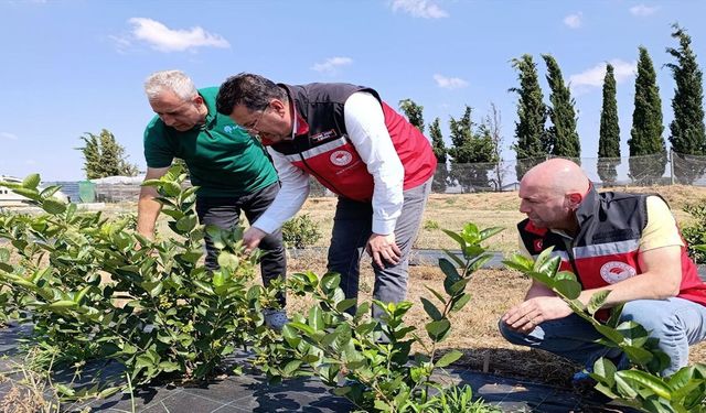 Sıfır Atık Uygulayan Gıda İşletmesine İnceleme