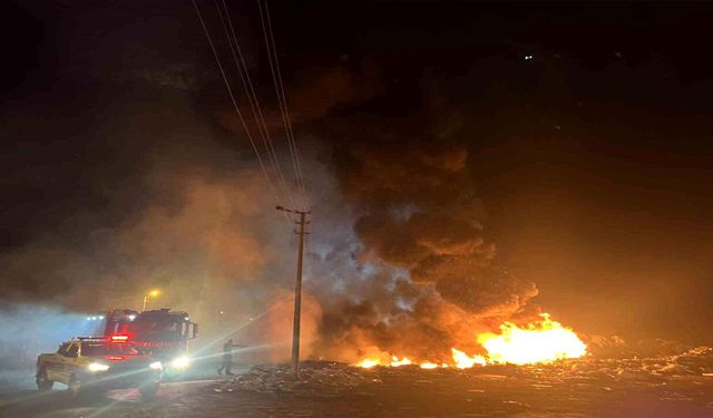 Tekirdağ'da Atık Döküm Alanında Yangın: Alevler Geceyi Aydınlattı
