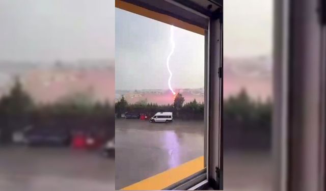 Tekirdağ'da Palmiye Ağacına Yıldırım Düştü, Alev Alev Yandı