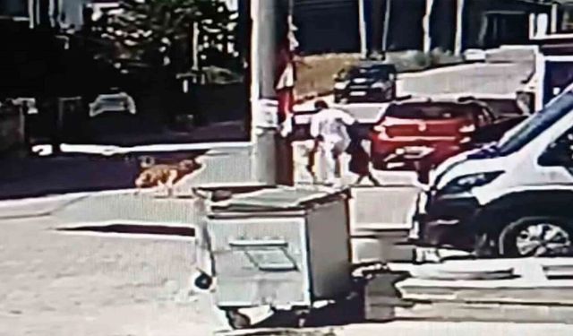Kapaklı'da Köpek Saldırısı: Genç Yaralandı